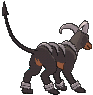 Houndoom XY back