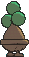 Bonsly XY back
