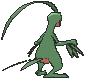 Grovyle XY back