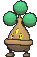 Bonsly XY