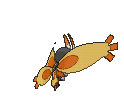 Mothim XY back