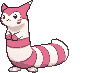 Furret XY