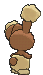 Buneary XY back
