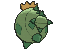 Cacnea XY back