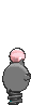Spoink XY back