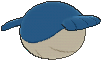 Wailmer XY back