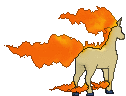 Rapidash XY back
