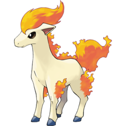 250px-077Ponyta