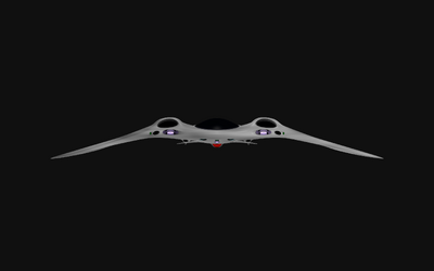 EagleRay3