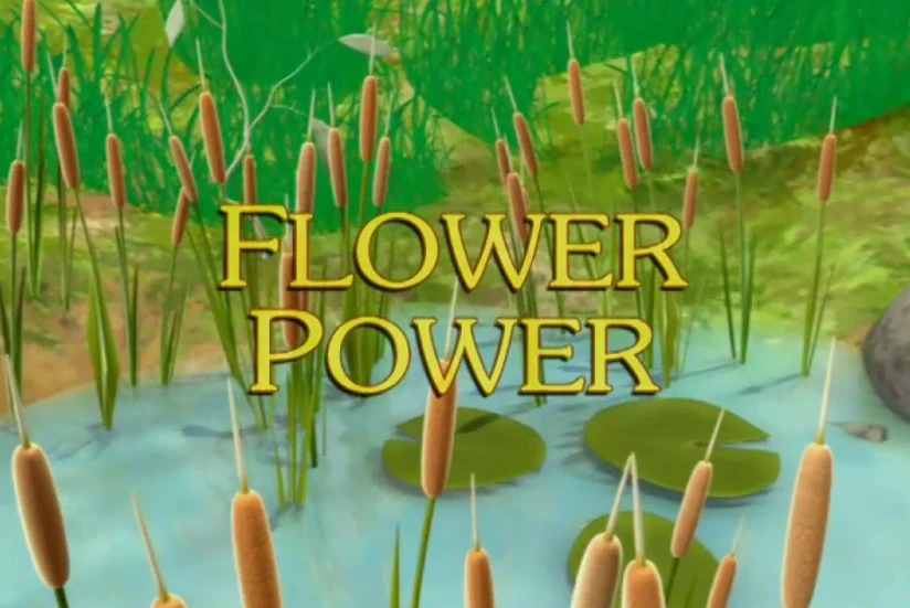 Flower Power Sunny Patch Wiki FANDOM Powered By Wikia