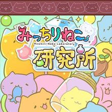 Get Wallpaper Mitchiri Neko Lab Mitchiri Neko Wiki Fandom Desktop Wallpaper Free