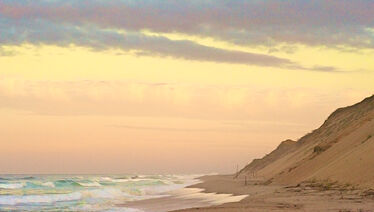 WELLFLEET-HORIZ-GREEN-WAVES-WEB-125-dpi