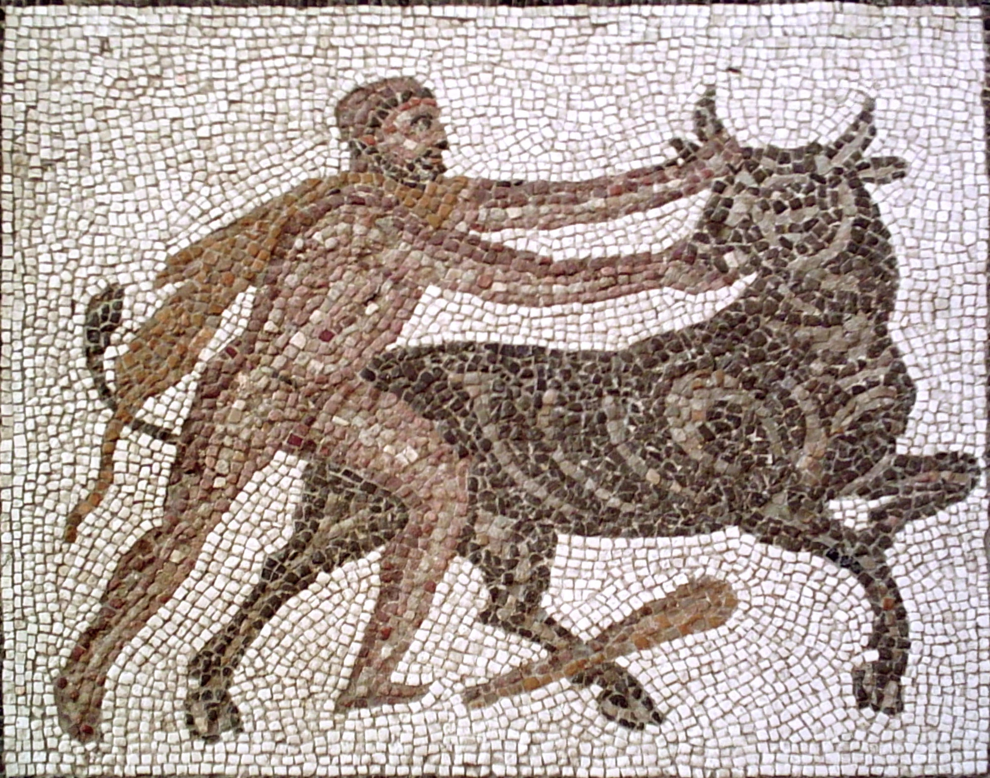toro-de-creta-wiki-mitolog-a-fandom-powered-by-wikia