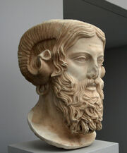 Zeus amon
