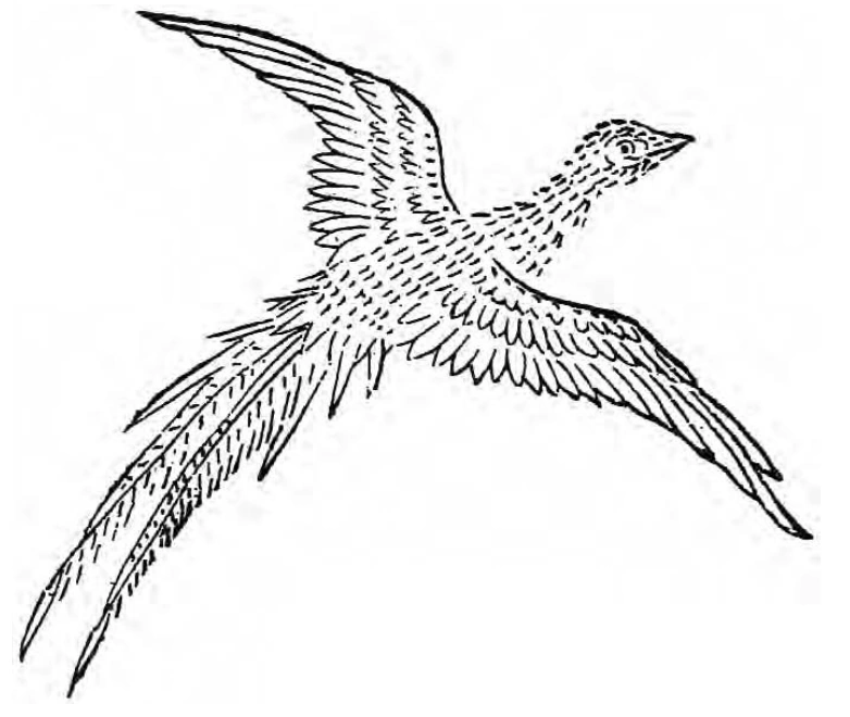 Jingwei Wiki Mitología FANDOM powered by Wikia