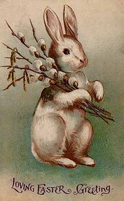 Easter Bunny Postcard 1907