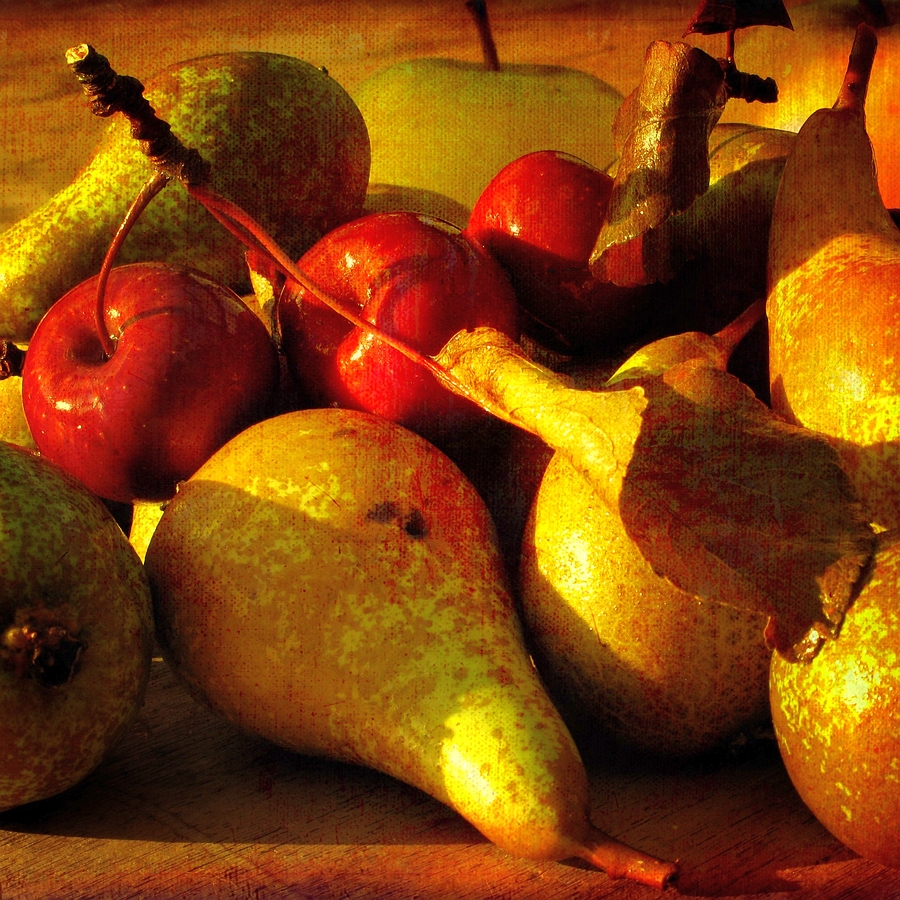 Obst Mittelalter Wiki Fandom