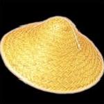 Asian Conical Hat