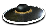 rimmed hat