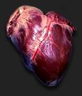 Onaga's Heart