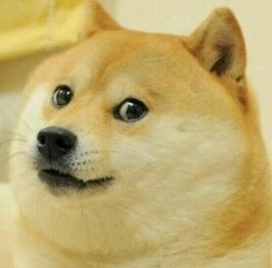 Doge | MLG Parody Wikia | Fandom