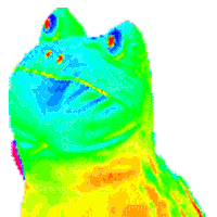 Rainbow Frog Mlg Parody Wikia Fandom