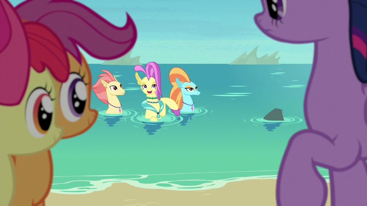 animated seashell