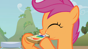 Scootaloo zap apple jam sandwich S2E12