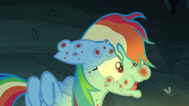 https://vignette.wikia.nocookie.net/mlp/images/0/09/Rainbow_Dash_coughing_up_a_Fly-der_S7E16.png/revision/latest/scale-to-width-down/640?cb=20170827160625