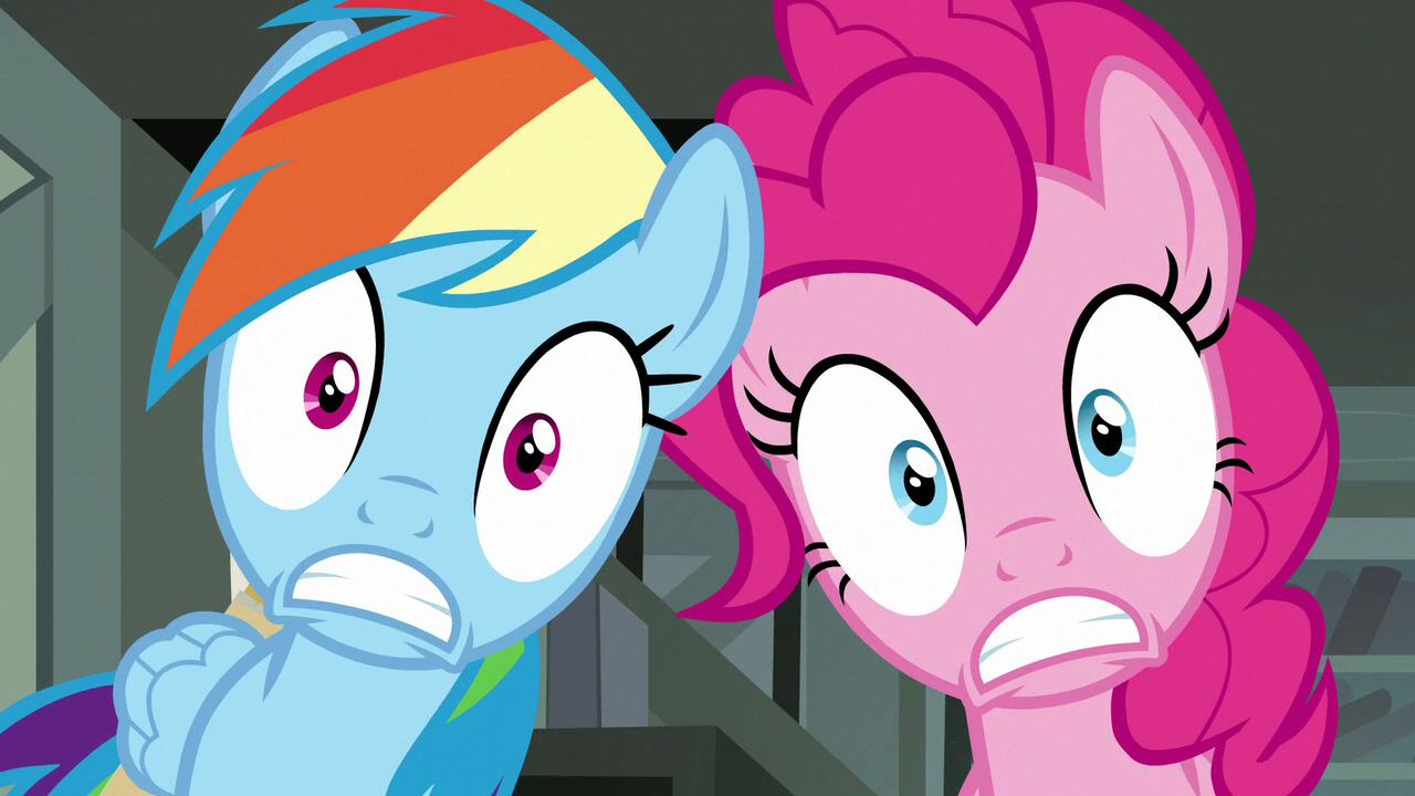 Image Rainbow Dash and Pinkie Pie in complete shock Image Rainbow Dash and Pinkie Pie in complete shock
