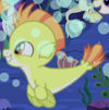 UMBH7 seapony form ID S8E6