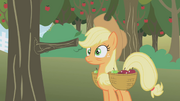 Applejack hit by a tree... again S01E04
