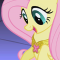 S01E02 Fluttershy ze swoim Elementem Harmonii