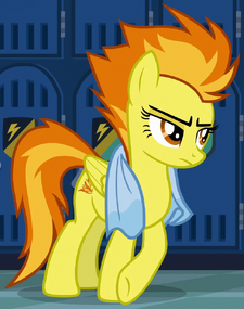 Spitfire My Little Pony Friendship Is Magic Wiki Fandom - chestnut style roblox wikia fandom powered by wikia