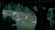 CMC continue through the woods S5E6