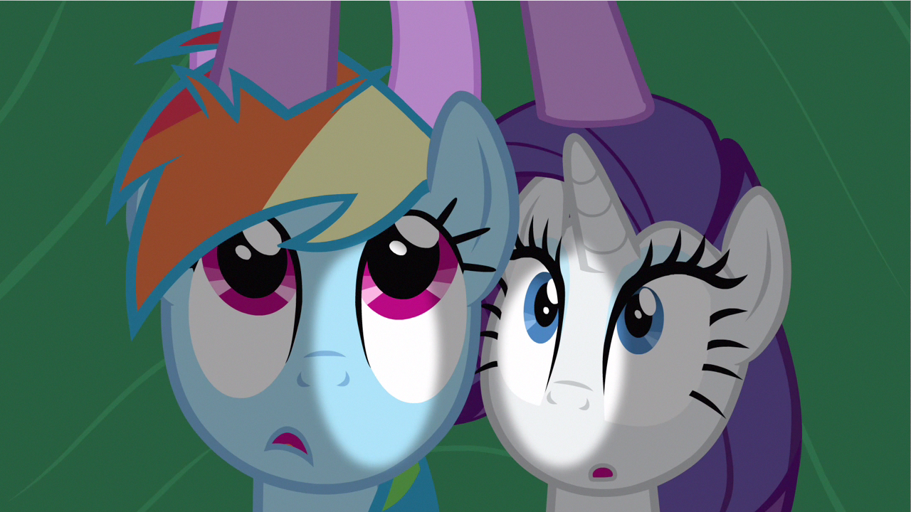 rarity dash rarity dash