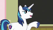 Shining Armor "loving all the... art!" S7E3
