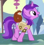 Amethyst Star Leader