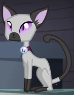 Unnamed Cat 5 ID S4E9