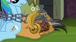 Rainbow and Quibble bound by Griffon's Lock S6E13