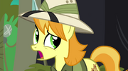 Daring Do collector has second thoughts S4E22