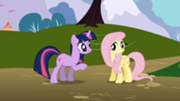 Fluttershy