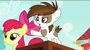 Pip