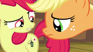 Twist Mlp Apple Bloom Porn - My Little Pony FiM Community [OT3] Surely You Saw This ...