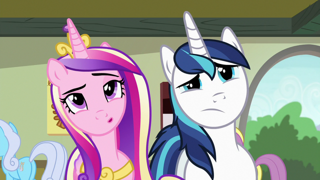 File:Cadance and Shining Armor looking at art S7E3.png