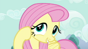 S04E16 Fluttershy...cute