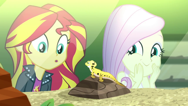 File:Sunset Shimmer meets a leopard gecko SS7.png