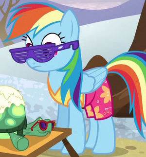 image rainbow dash beach attire id s5e5 png my little pony