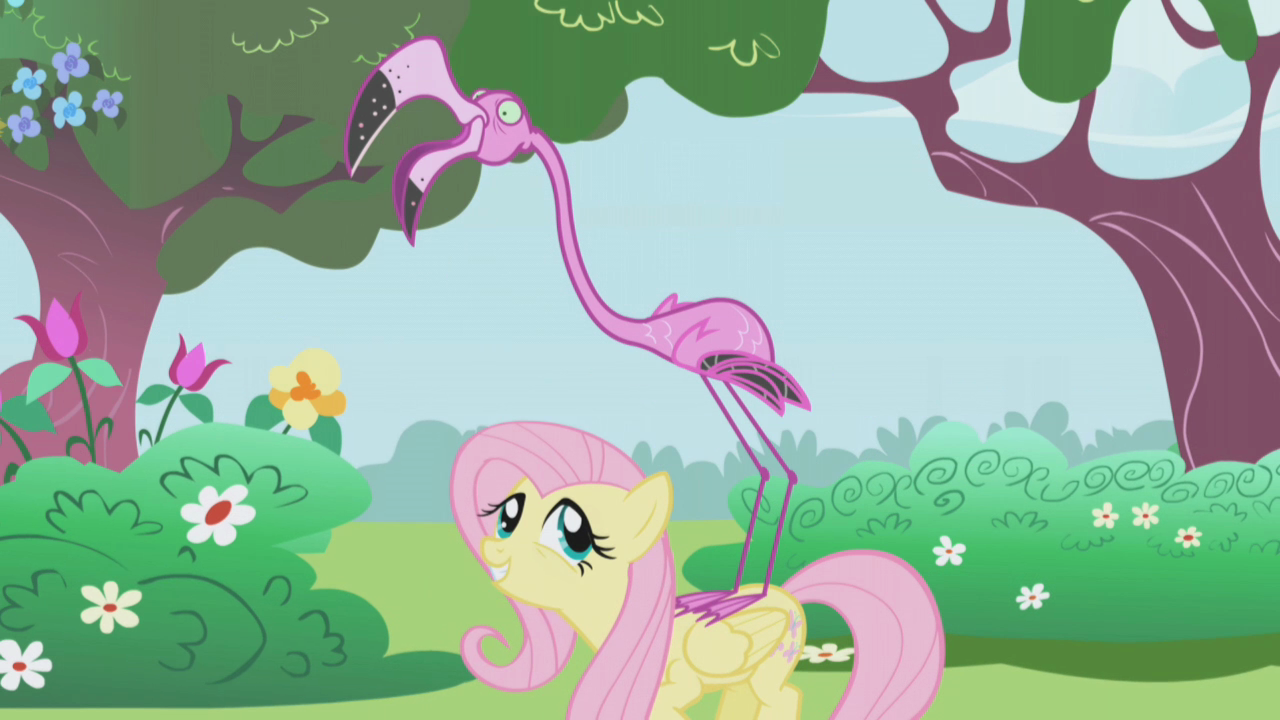 Animals My Little Pony Friendship Is Magic Wiki Fandom