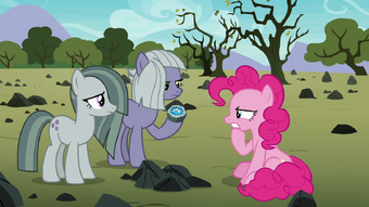 The Maud Couple マイリトルポニー Wiki Fandom